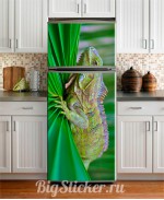 Наклейка на холодильник Хамелеон Z017